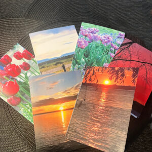 All Occasion 5 x 7 Photo Cards