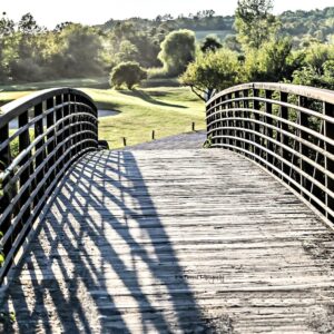 The Bridge to your Dreams