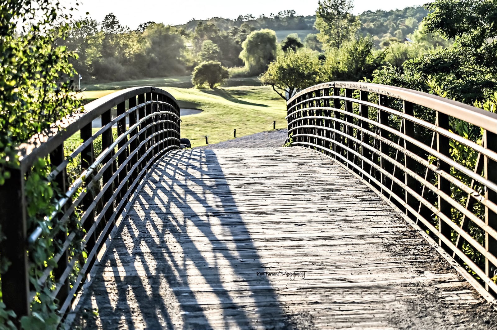 The Bridge to your Dreams 1 The Bridge to your Dreams