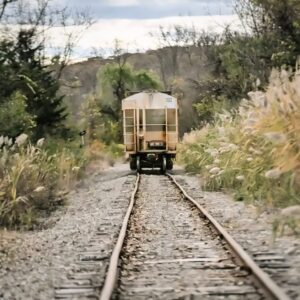The Last Stop