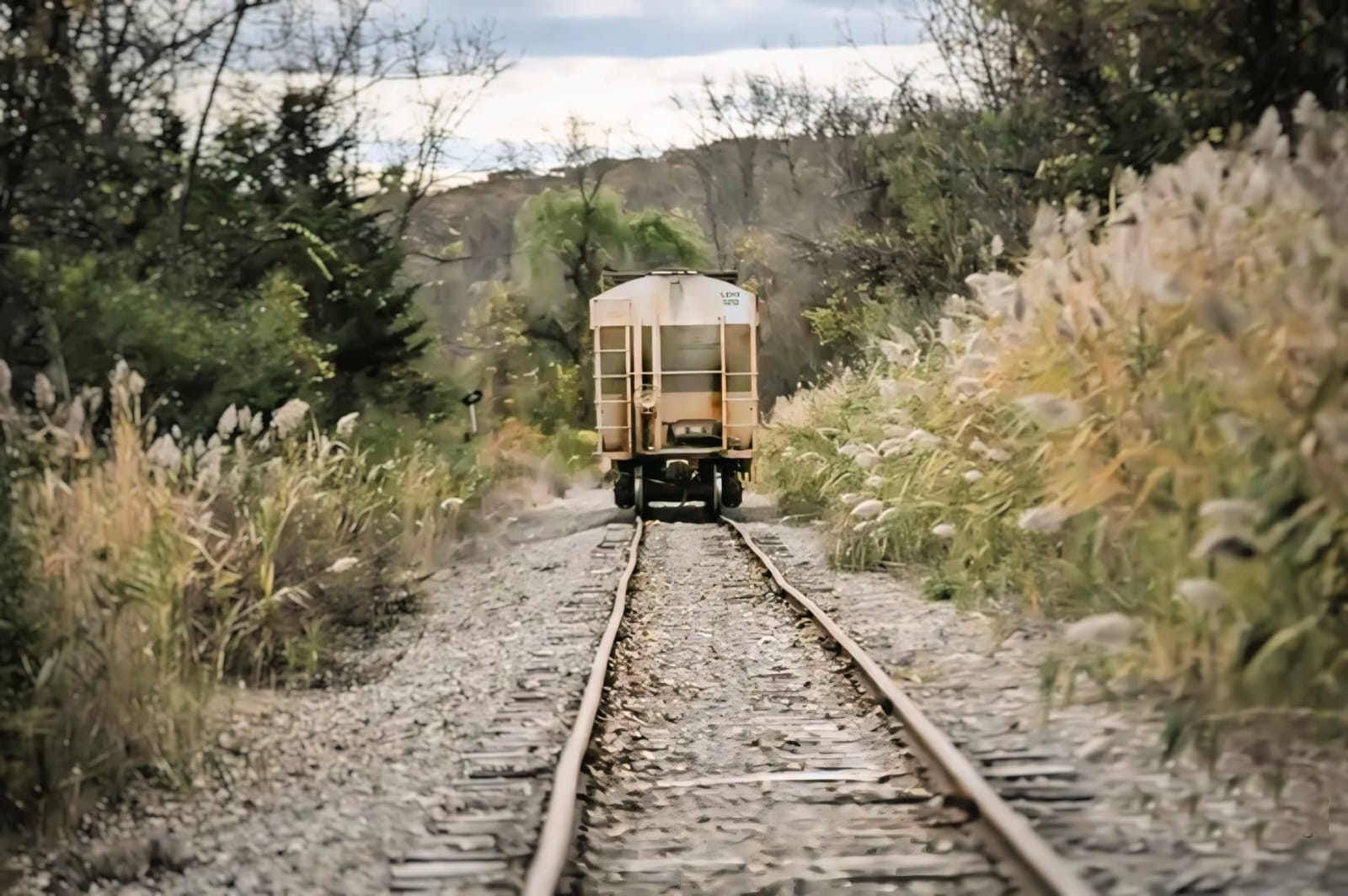 The Last Stop 1 The Last Stop