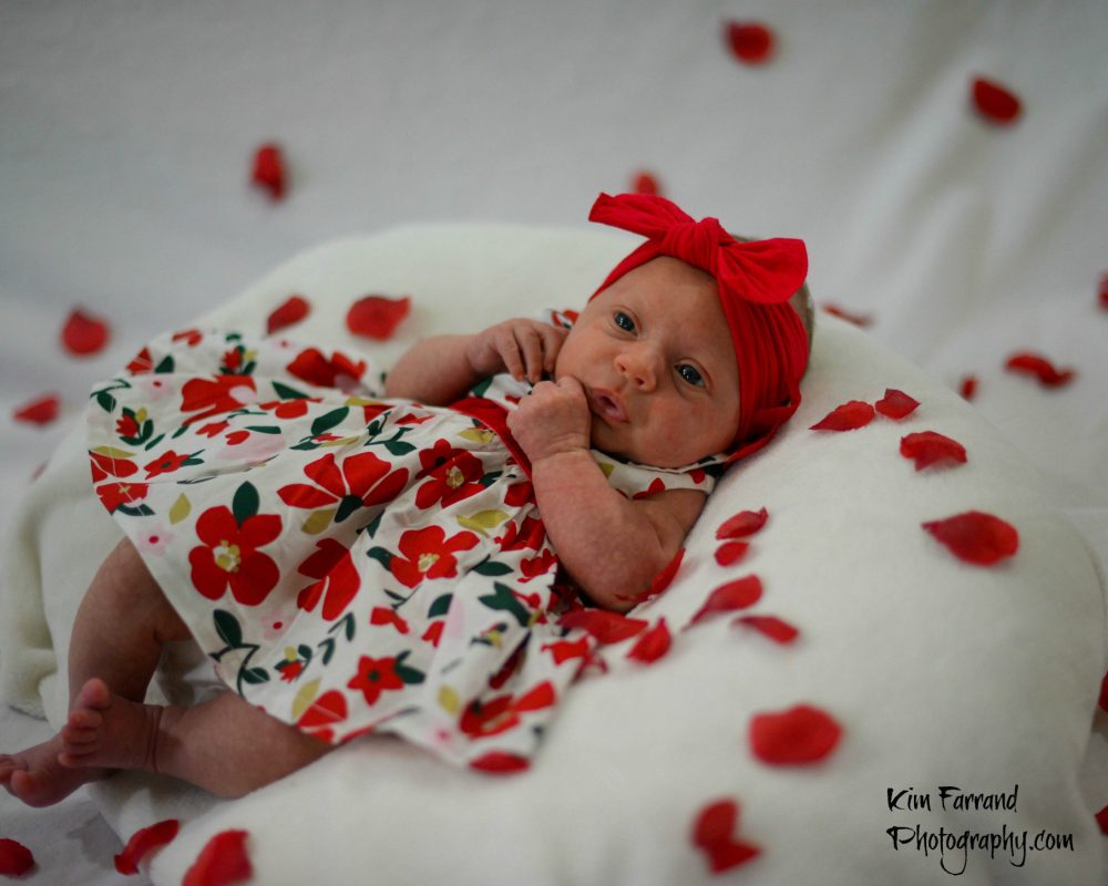 Maternity & Newborn Photogrpaher in Coxsackie, NY & Surounding Areas