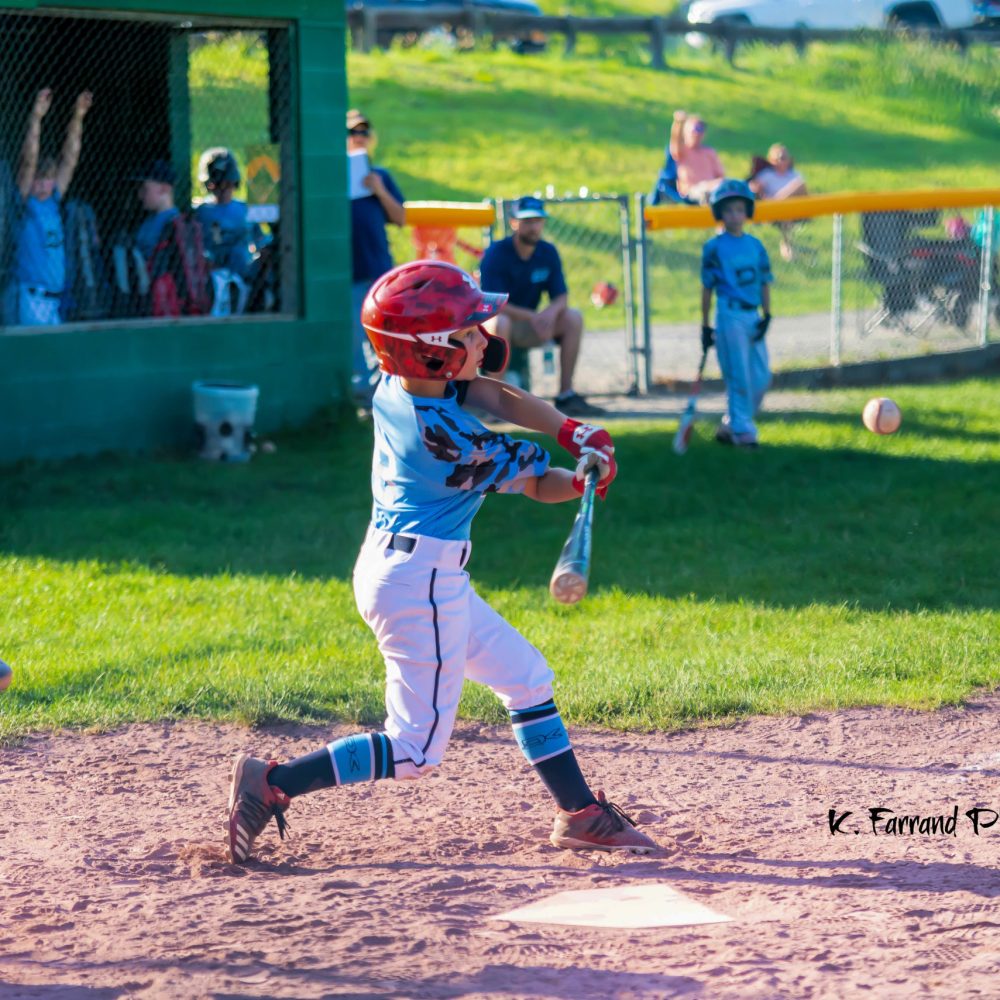 baseball-little league